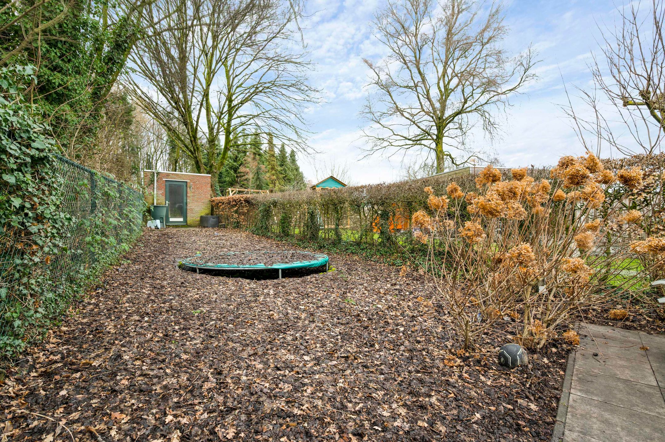 Foto 18 van Rooseveltstraat 49