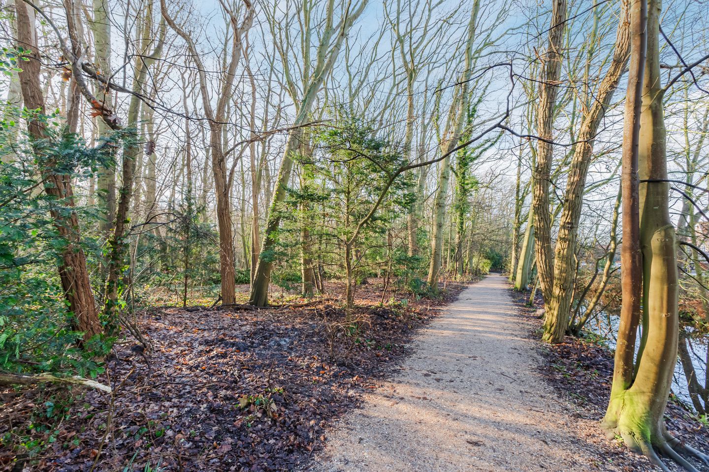 Foto 50 van Laan van Oud-Poelgeest 18
