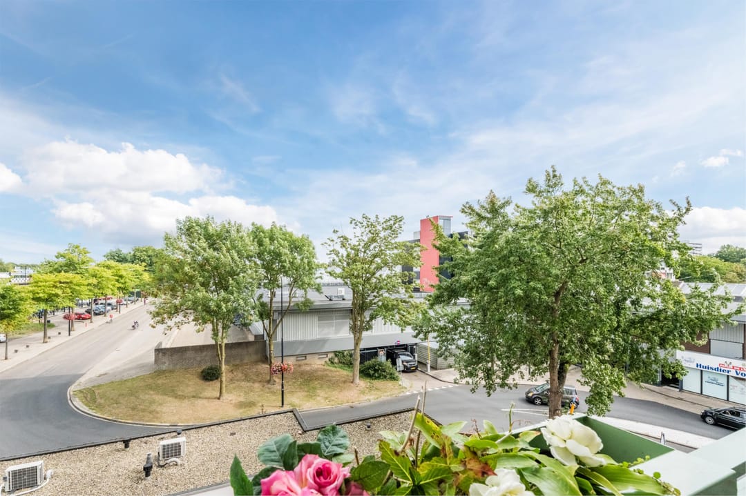 Foto 13 van Zwanenveld 8323