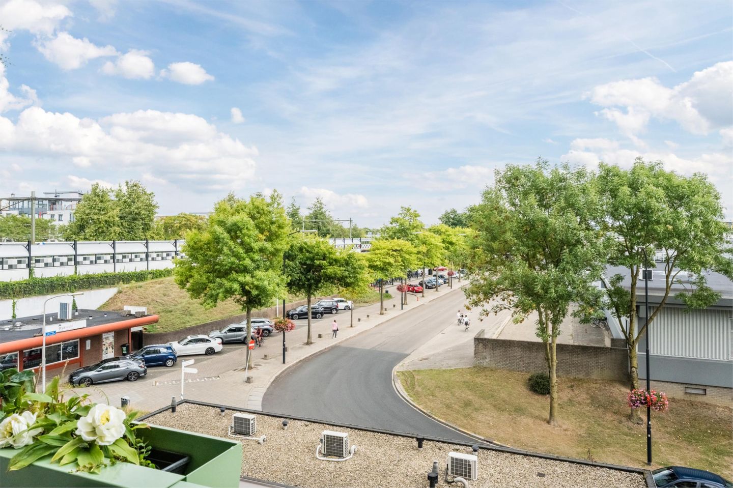 Foto 14 van Zwanenveld 8323