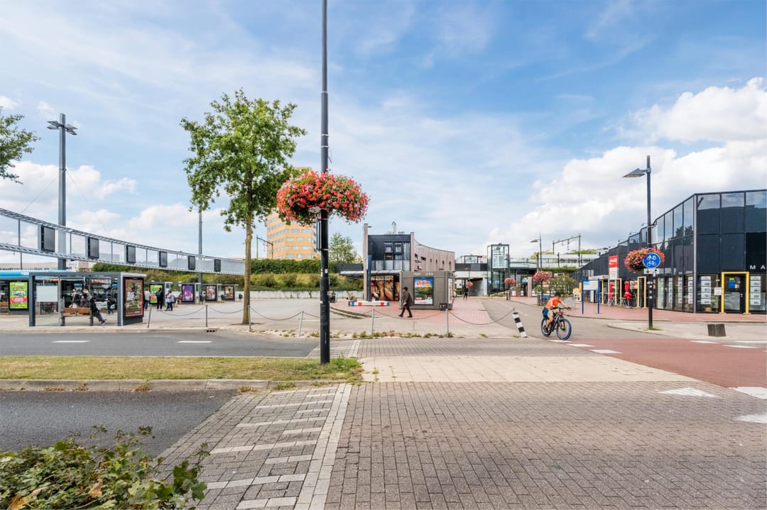 Foto 47 van Zwanenveld 8323