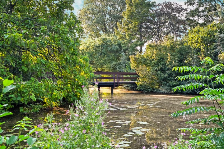 Photo 36 of Apollolaan 29-4