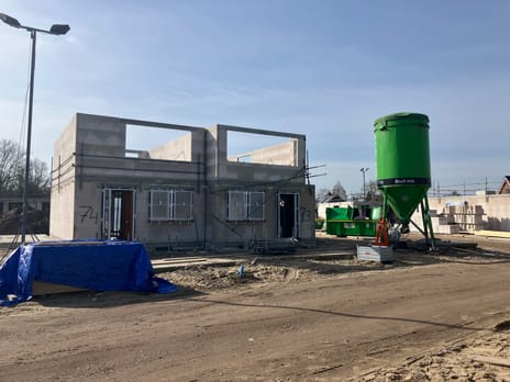 Holstein-Friesian 19 tertiary image