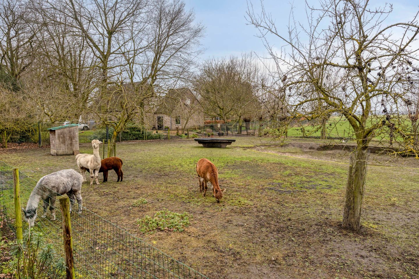 Foto 29 van Graafjansdijk B 53