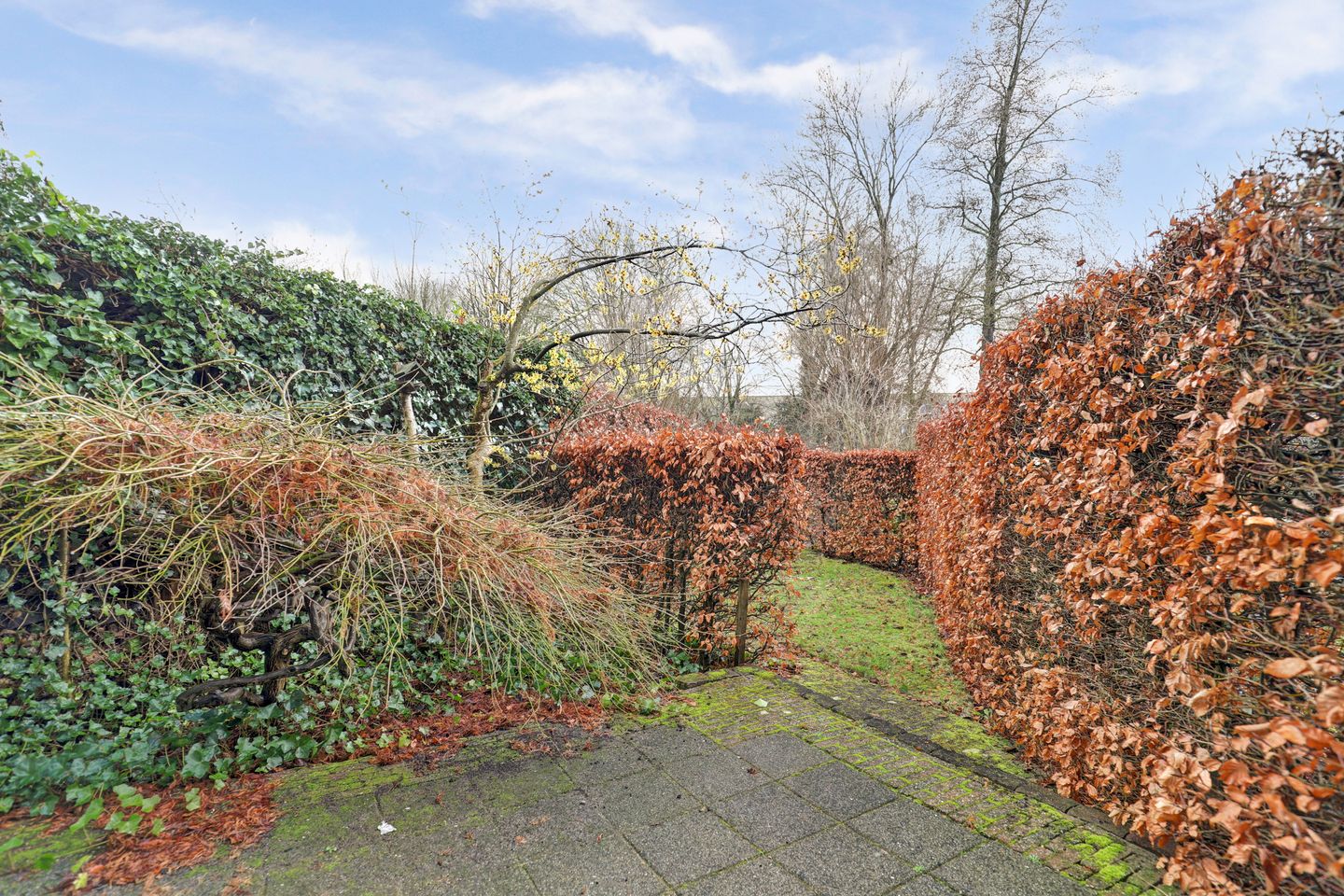 Foto 4 van Elisabeth Hoeve 29