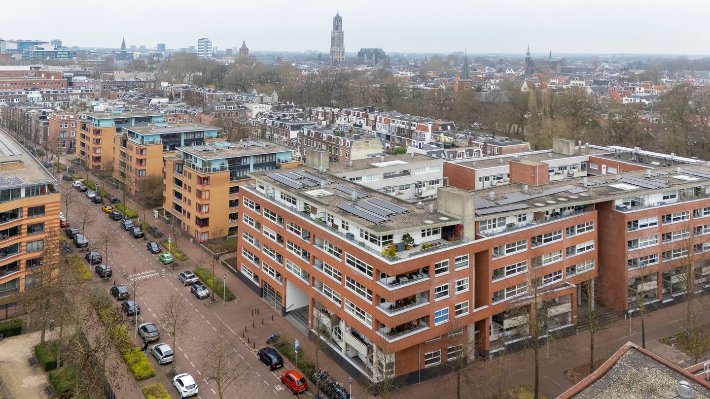 Foto 49 van Hartingstraat 228