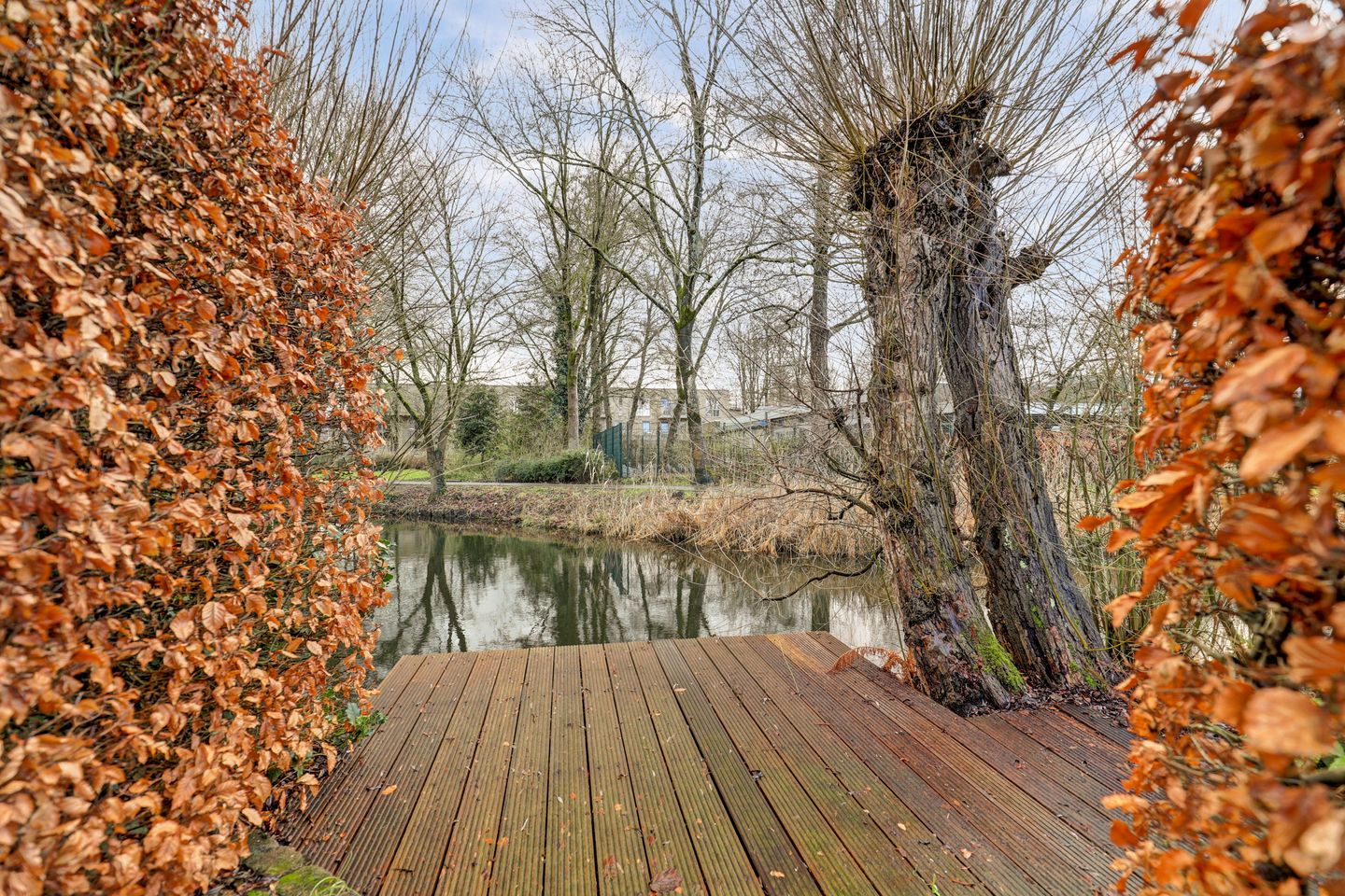 Foto 34 van Elisabeth Hoeve 29