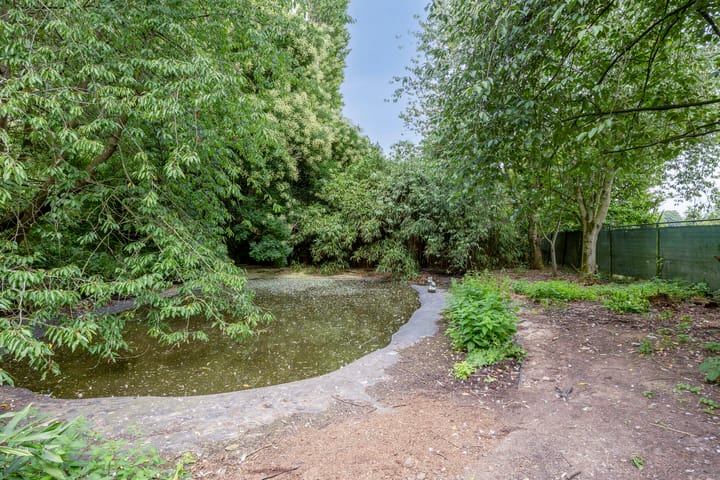 Photo 4 of Waalbandijk 116