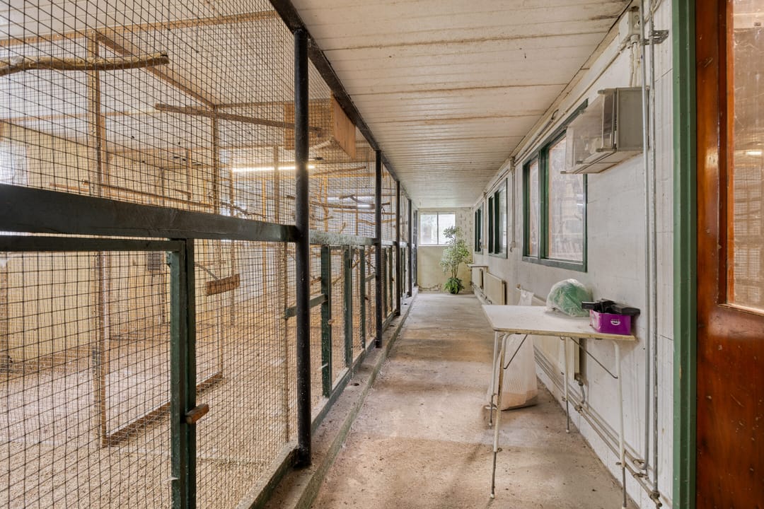 Photo 52 of Waalbandijk 116