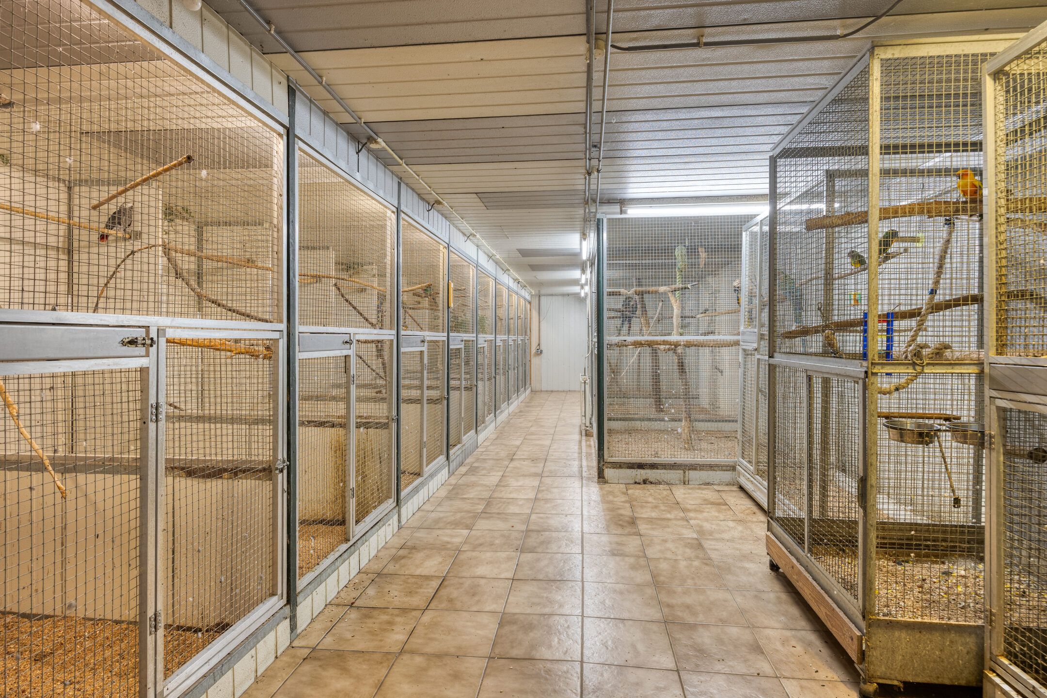 Photo 54 of Waalbandijk 116