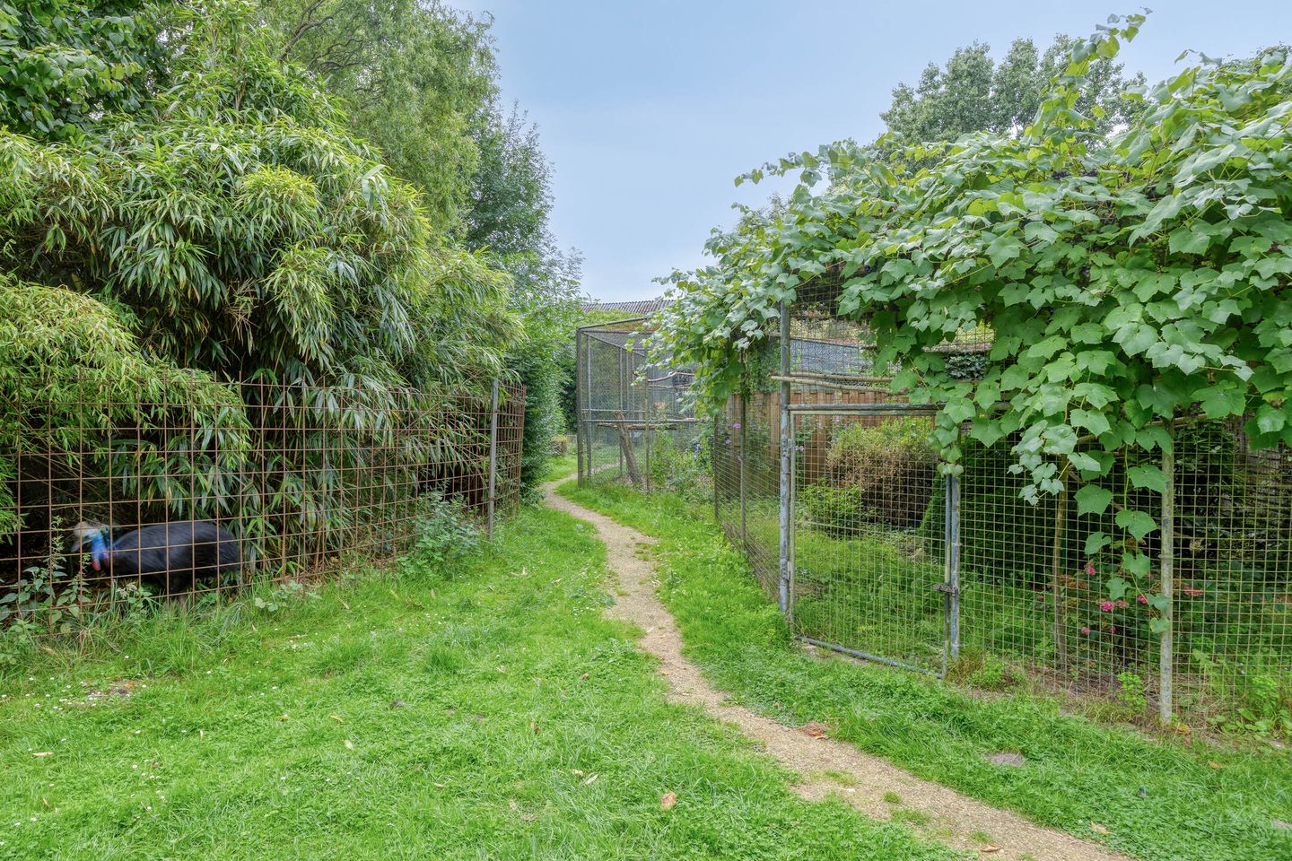 Photo 59 of Waalbandijk 116