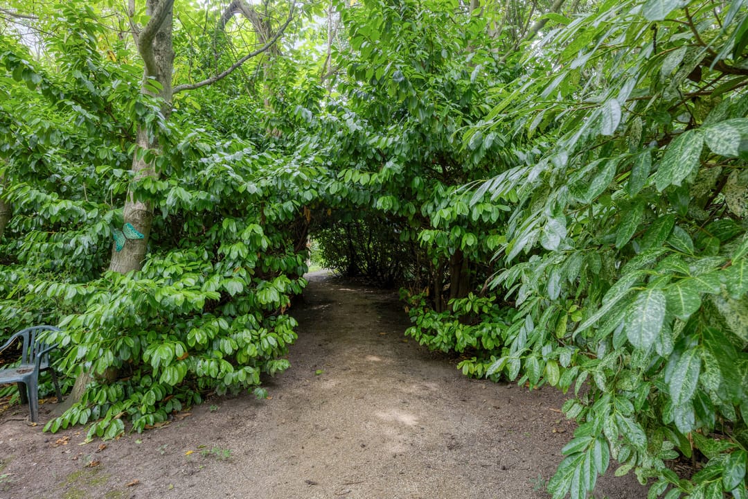 Photo 61 of Waalbandijk 116