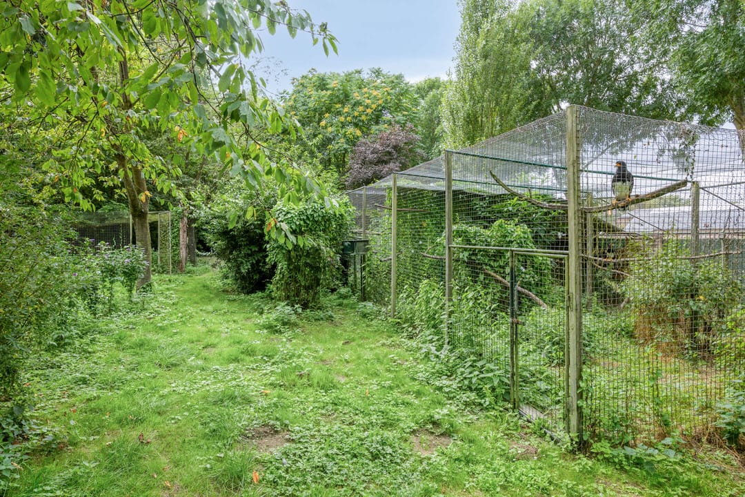 Photo 62 of Waalbandijk 116