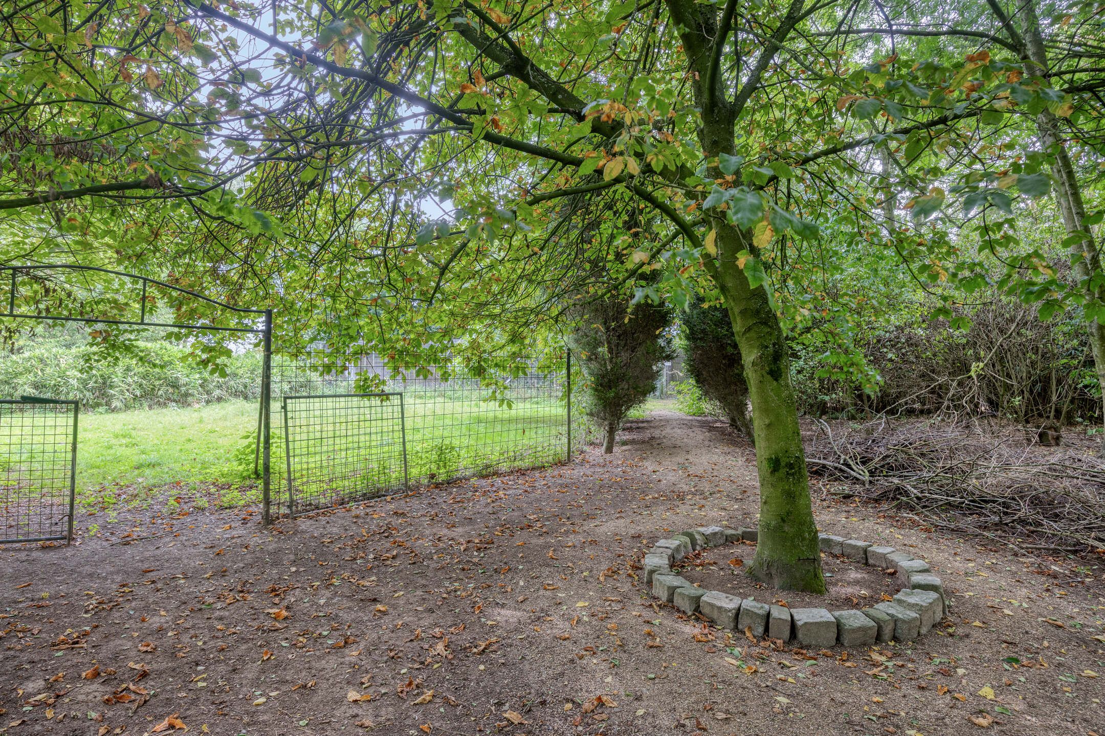 Photo 63 of Waalbandijk 116