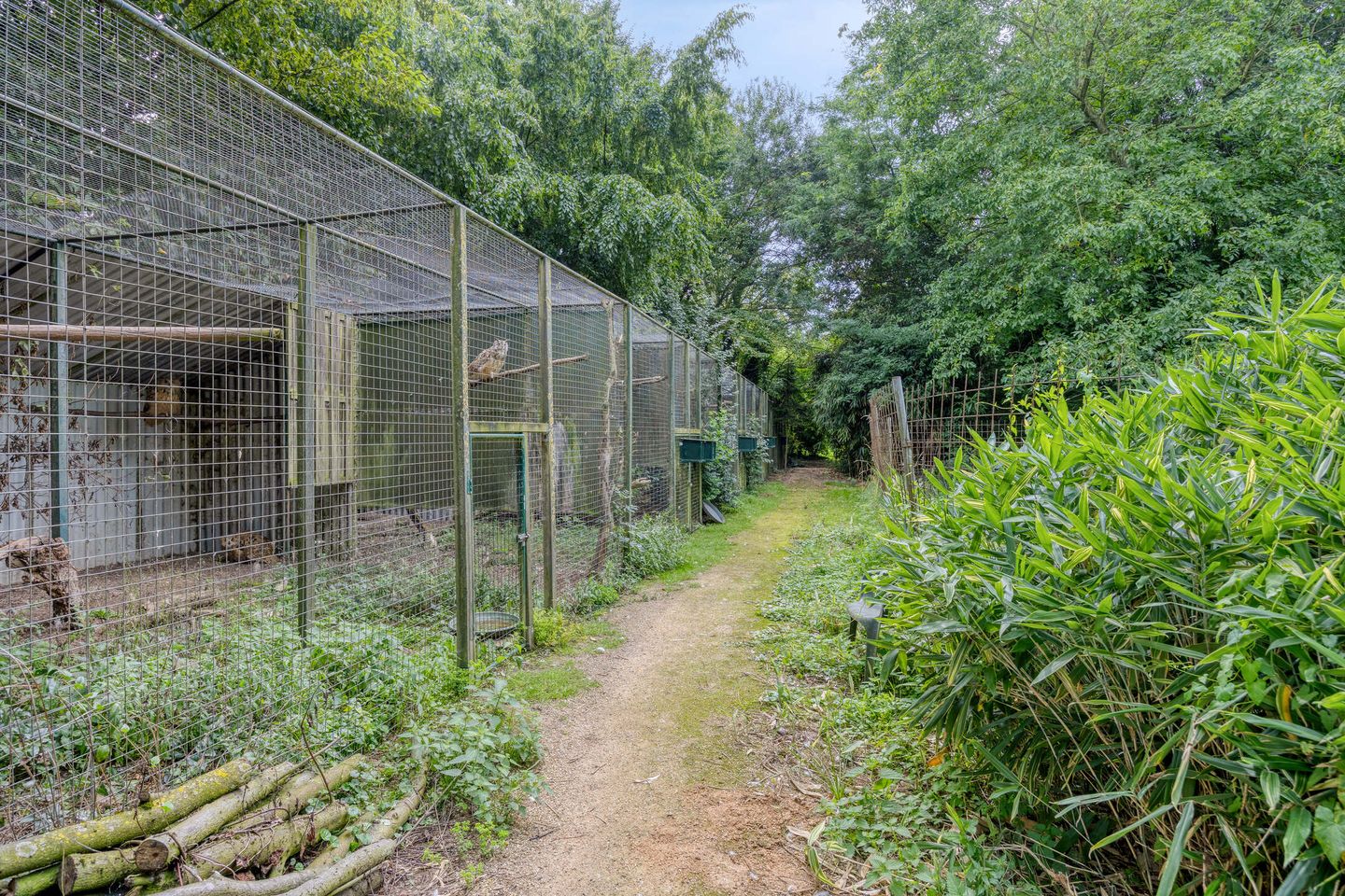 Photo 65 of Waalbandijk 116