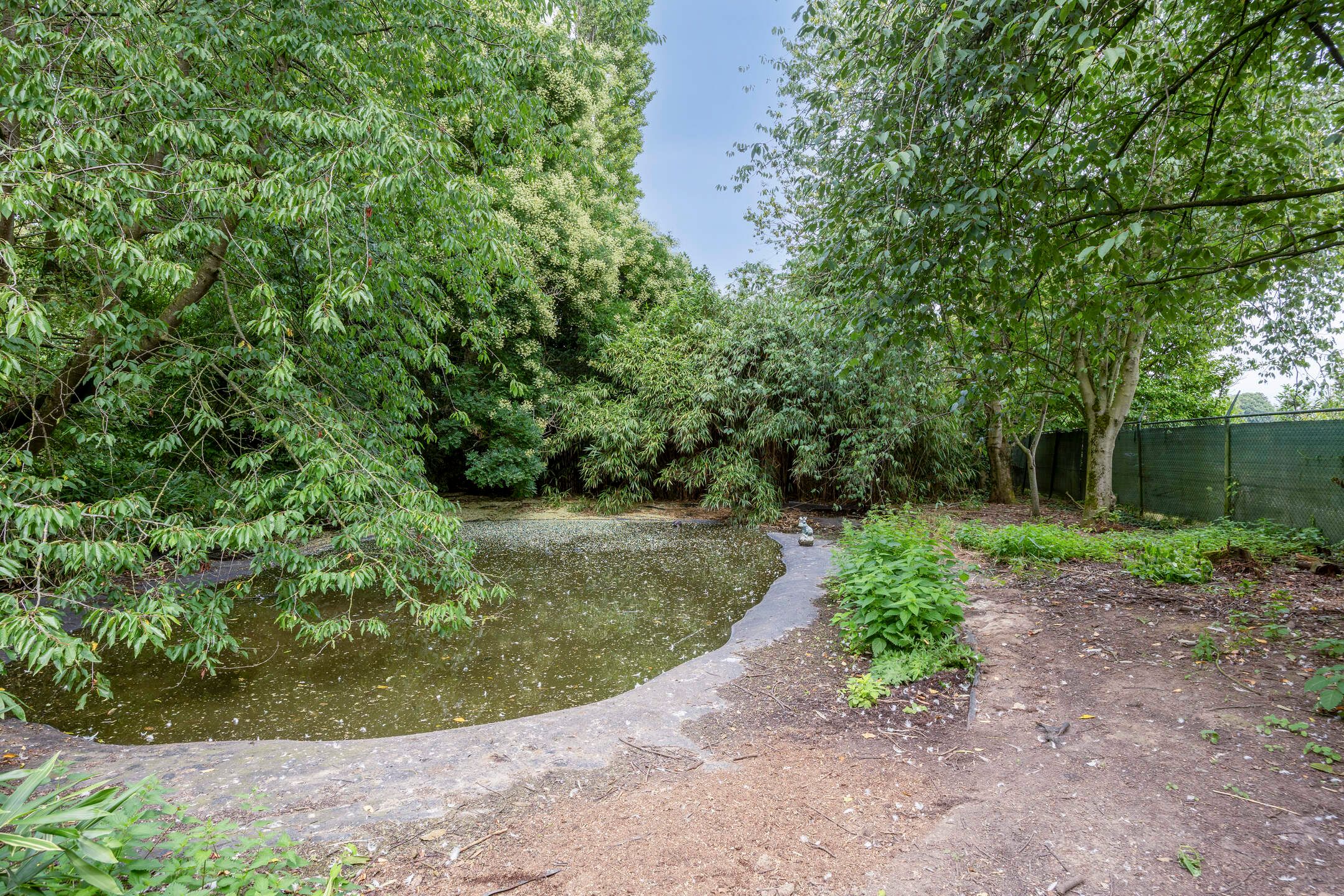 Photo 66 of Waalbandijk 116