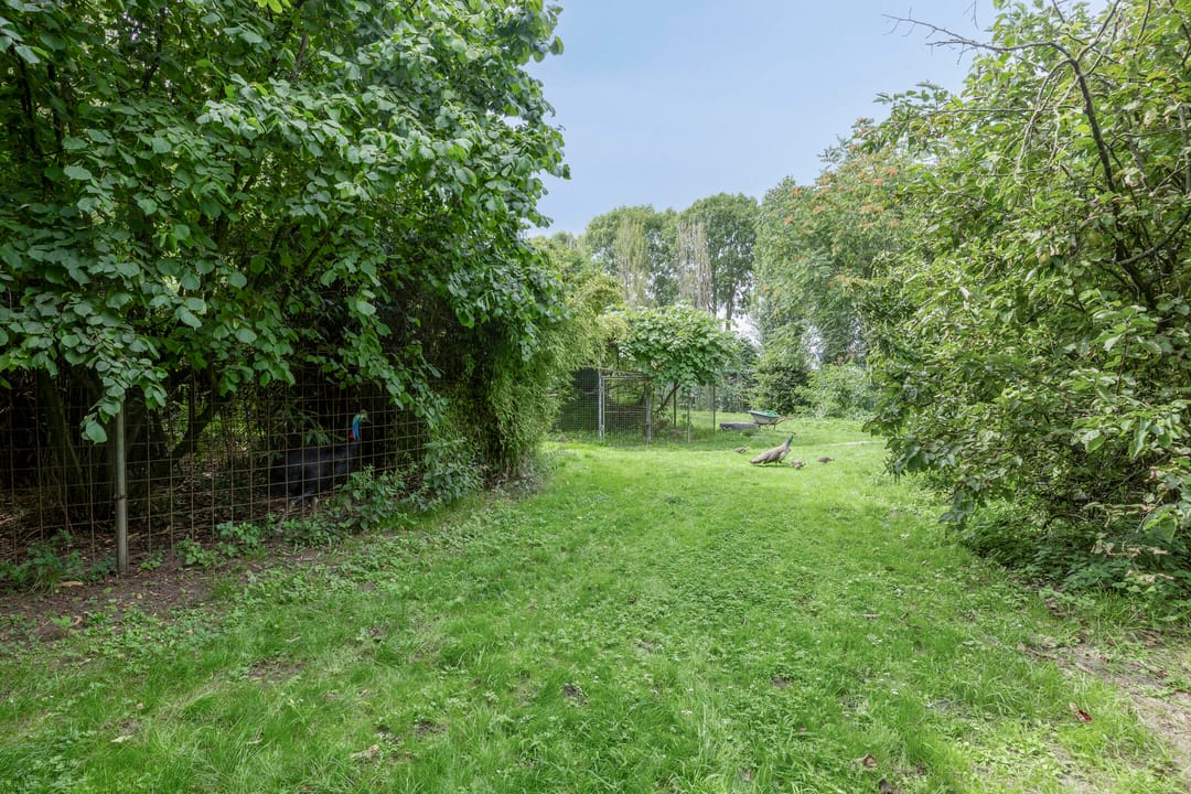 Photo 68 of Waalbandijk 116