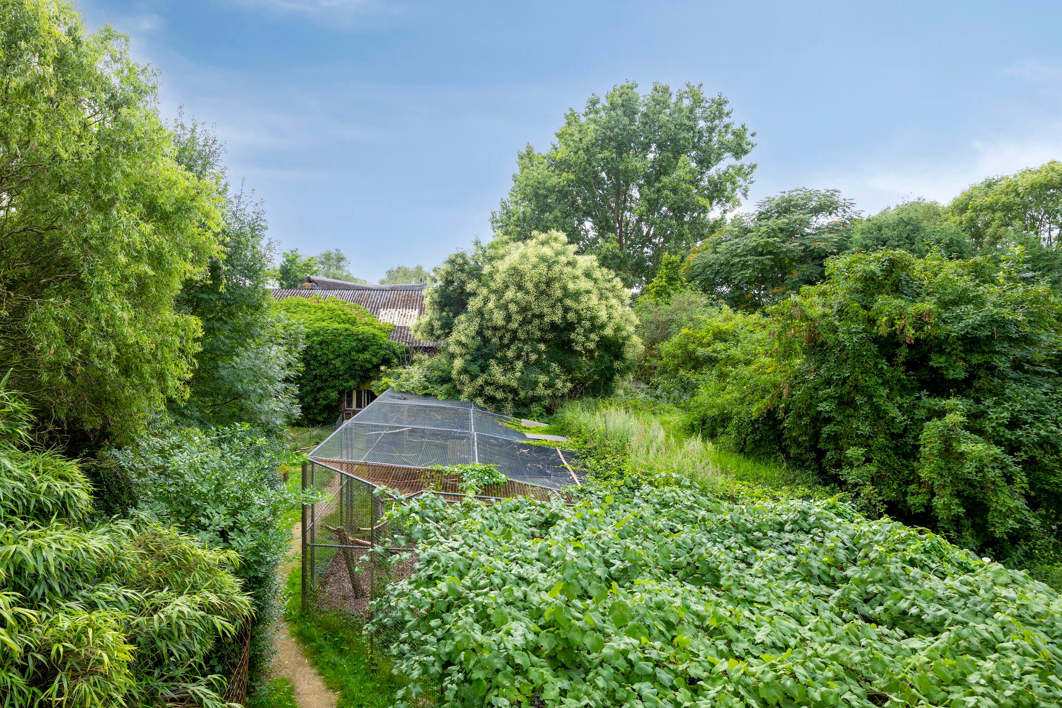 Photo 72 of Waalbandijk 116