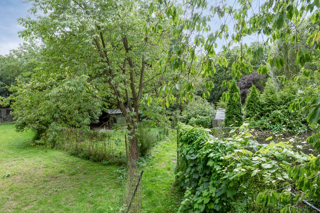 Photo 73 of Waalbandijk 116