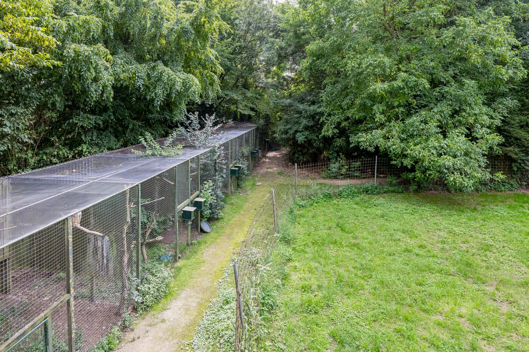 Photo 76 of Waalbandijk 116