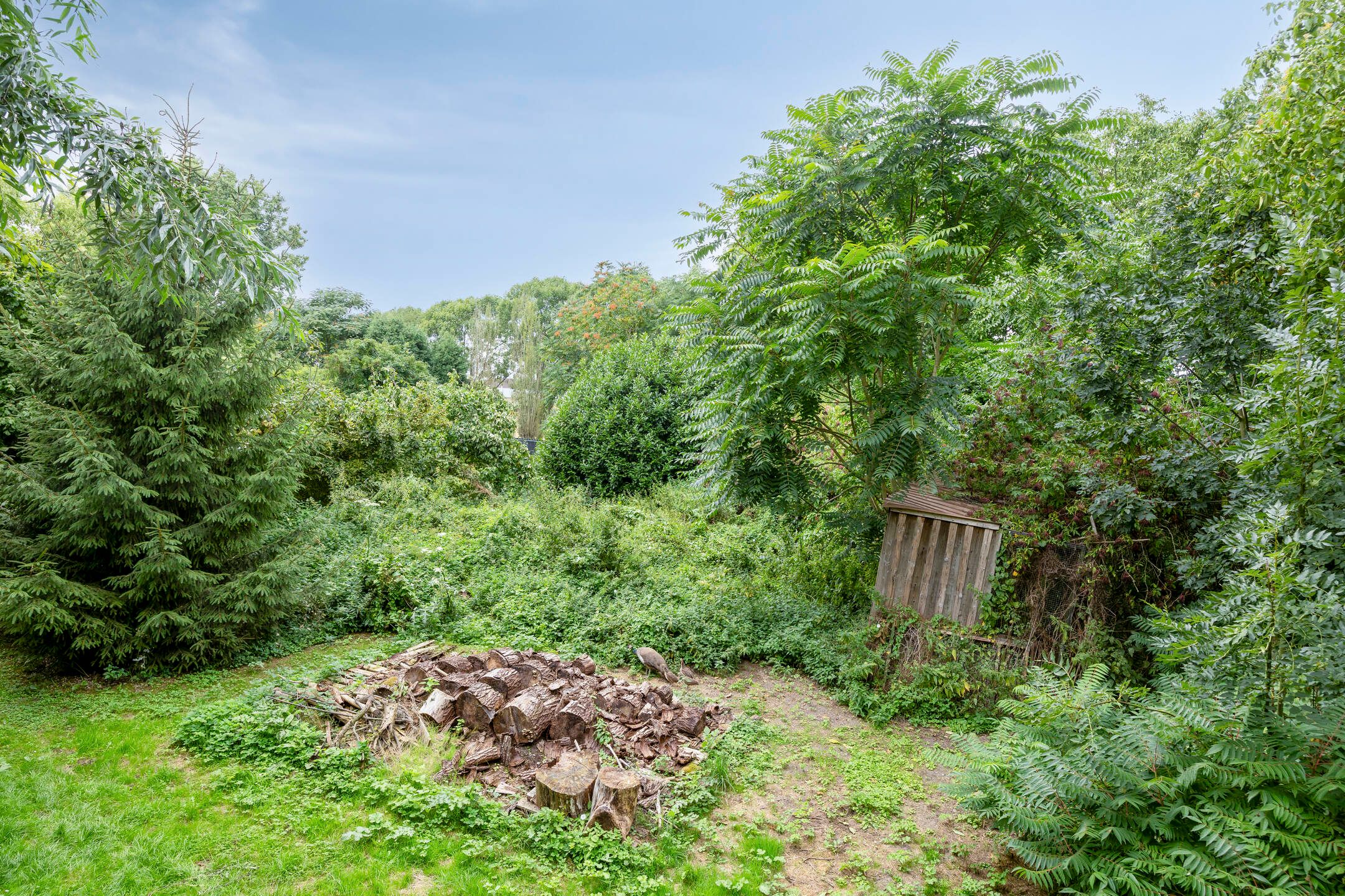 Photo 78 of Waalbandijk 116