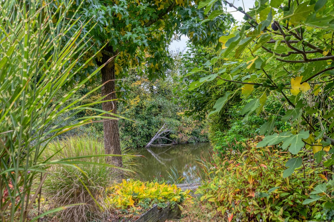 Foto 31 van Indira Gandhilaan 31