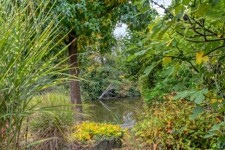 Photo 31 of Indira Gandhilaan 31