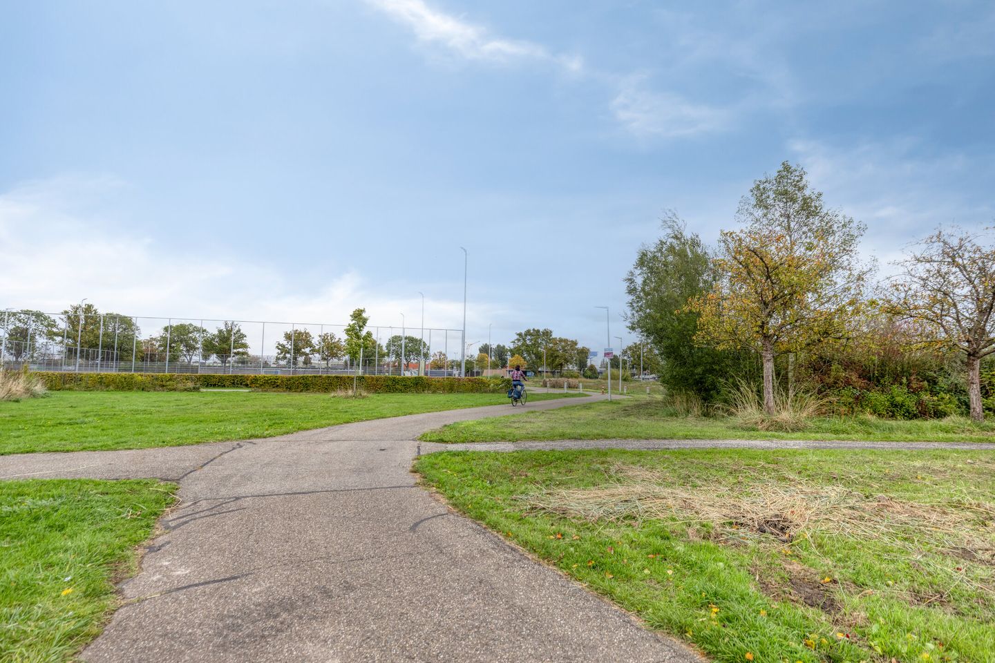 Foto 40 van Indira Gandhilaan 31