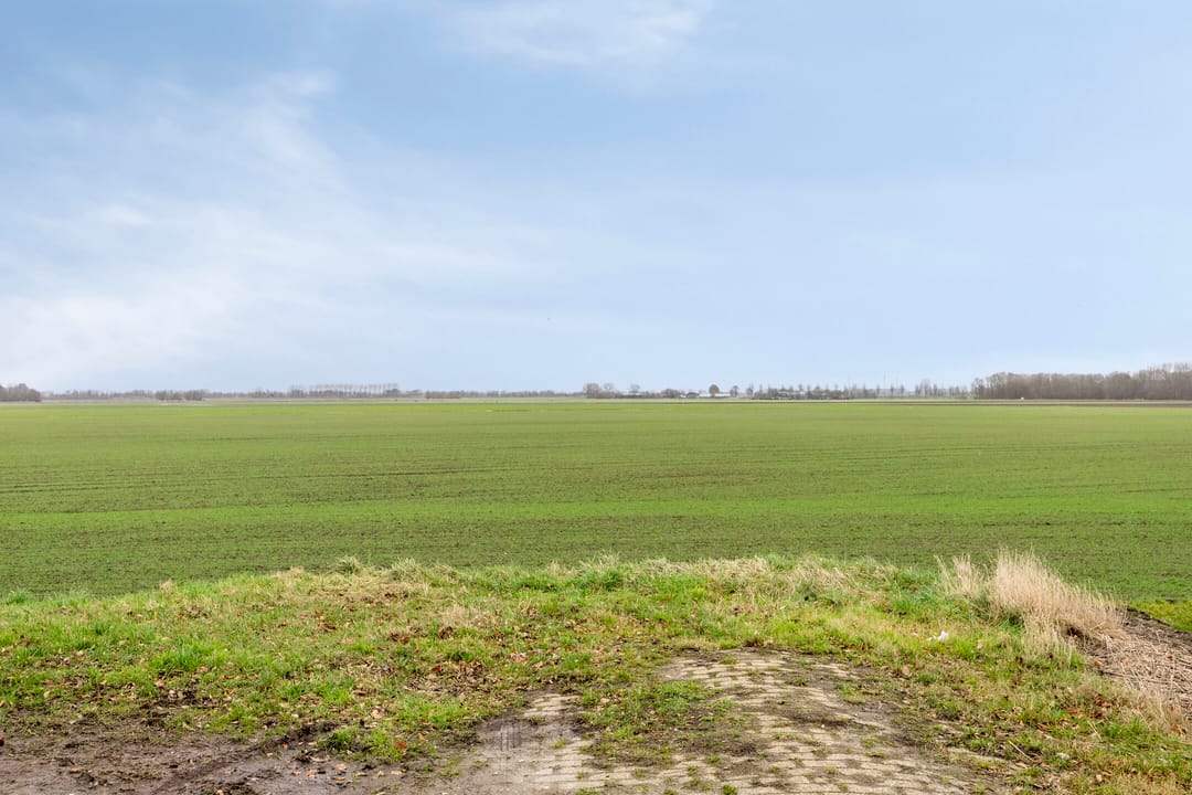 Foto 31 van Van Duivenvoordestraat 25