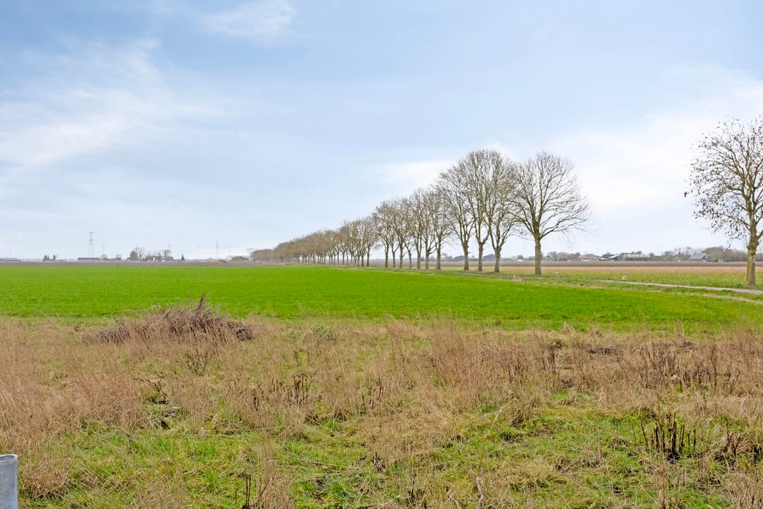 Foto 32 van Van Duivenvoordestraat 25