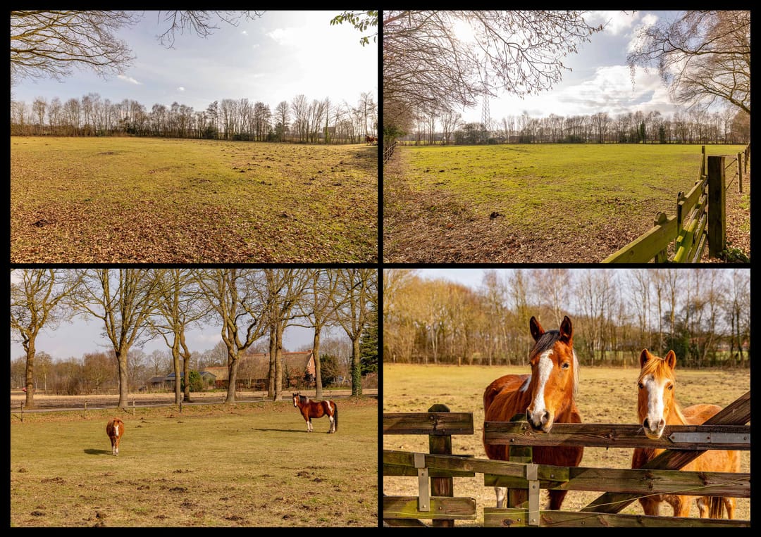 Foto 86 van Burgemeester Jansstraat 3