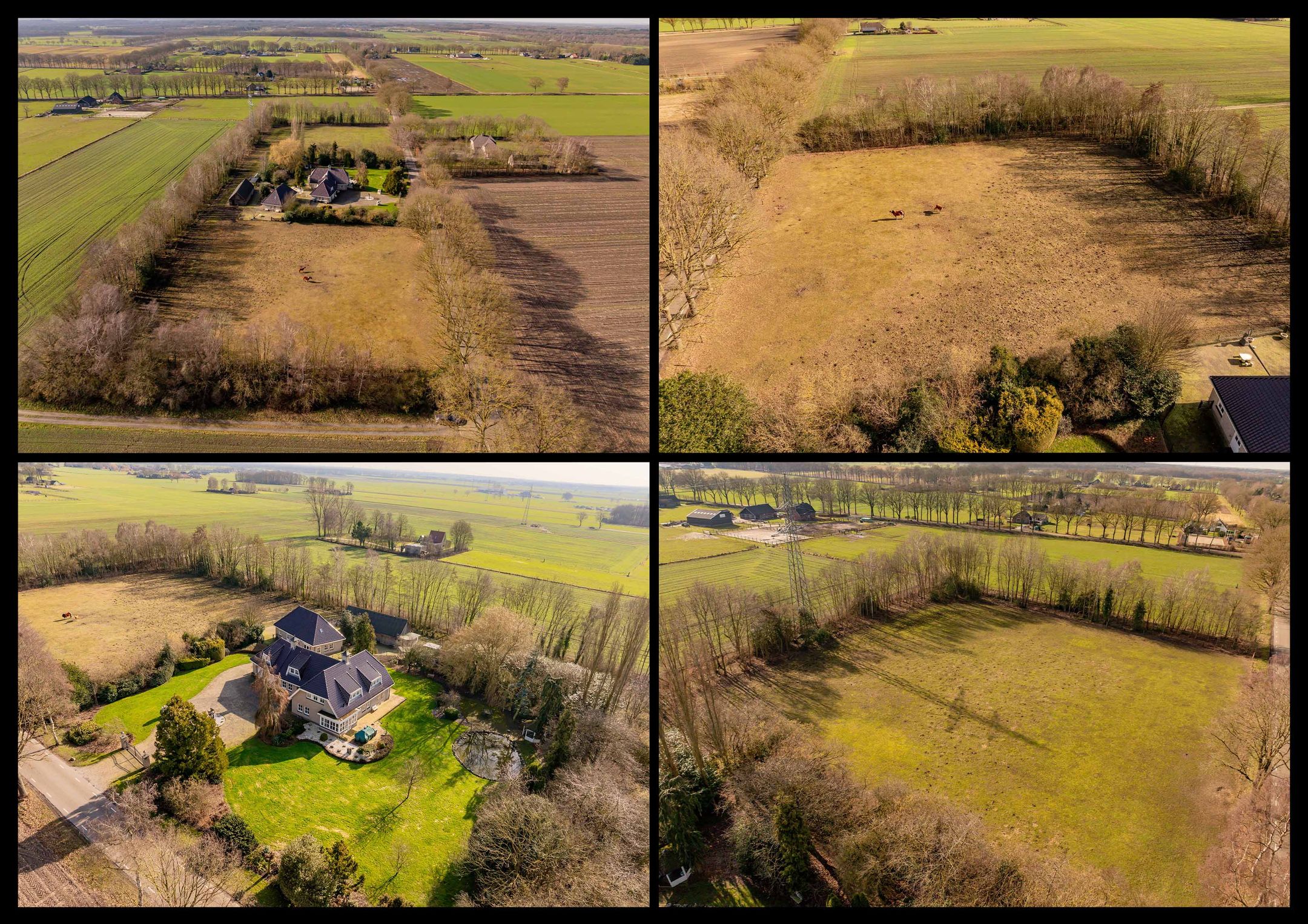 Foto 87 van Burgemeester Jansstraat 3