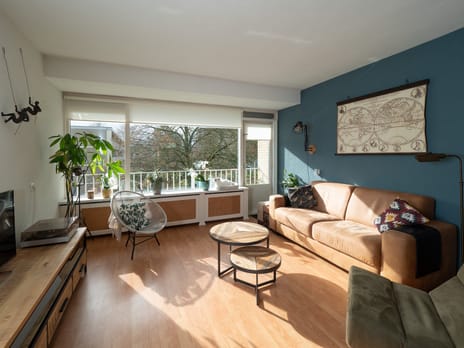 Malvert 6555 secondary image