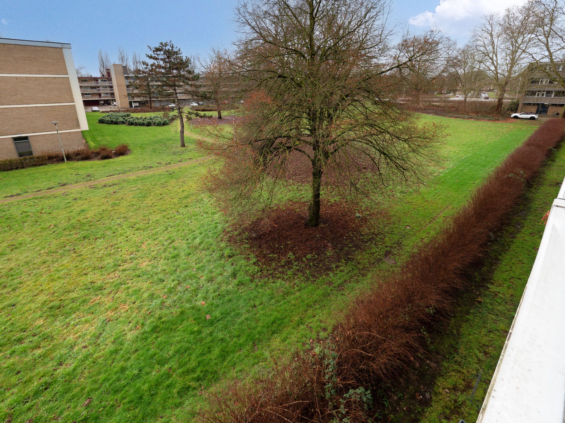 Foto 18 van Malvert 6555