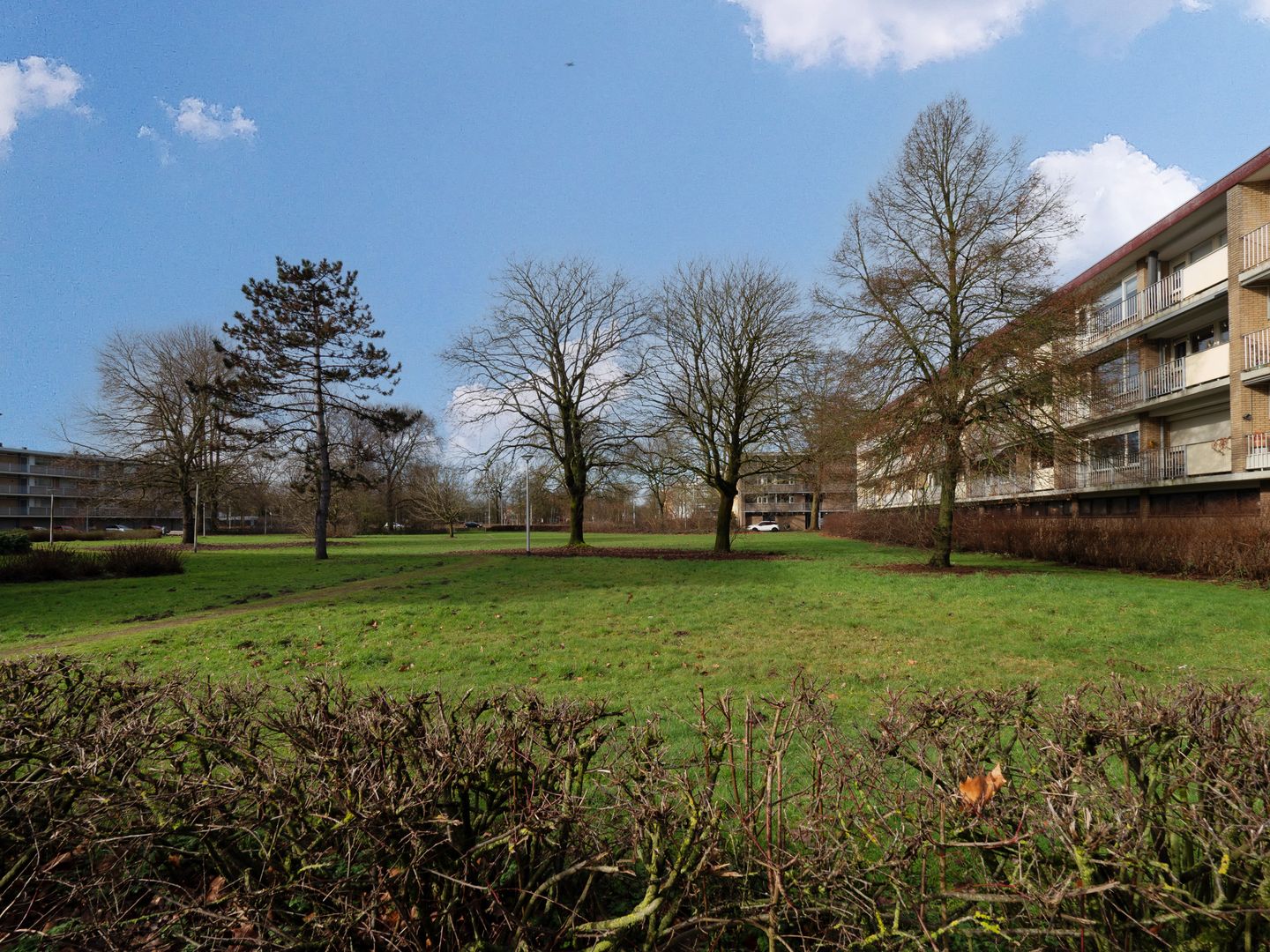 Foto 19 van Malvert 6555