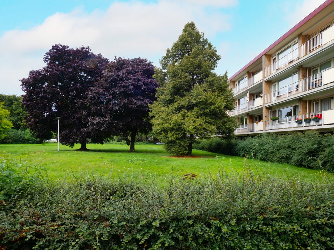 Foto 23 van Malvert 6555