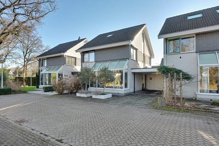 Zeehondstraat 36 main image