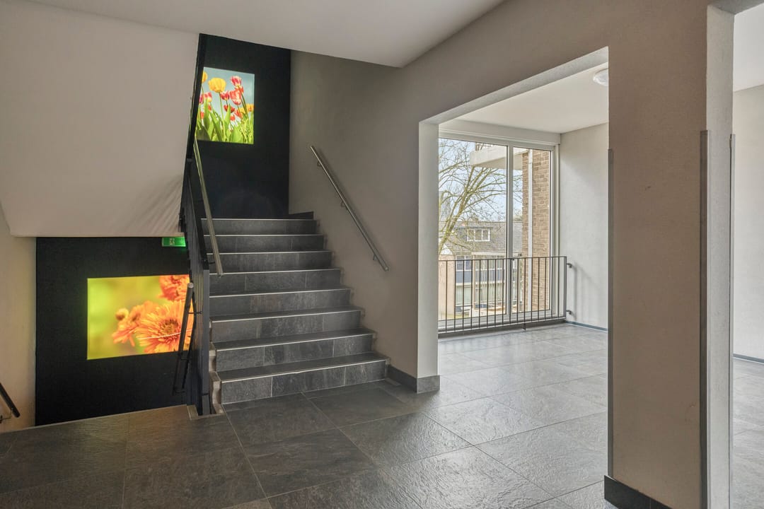 Photo 11 of Wijenburglaan 35