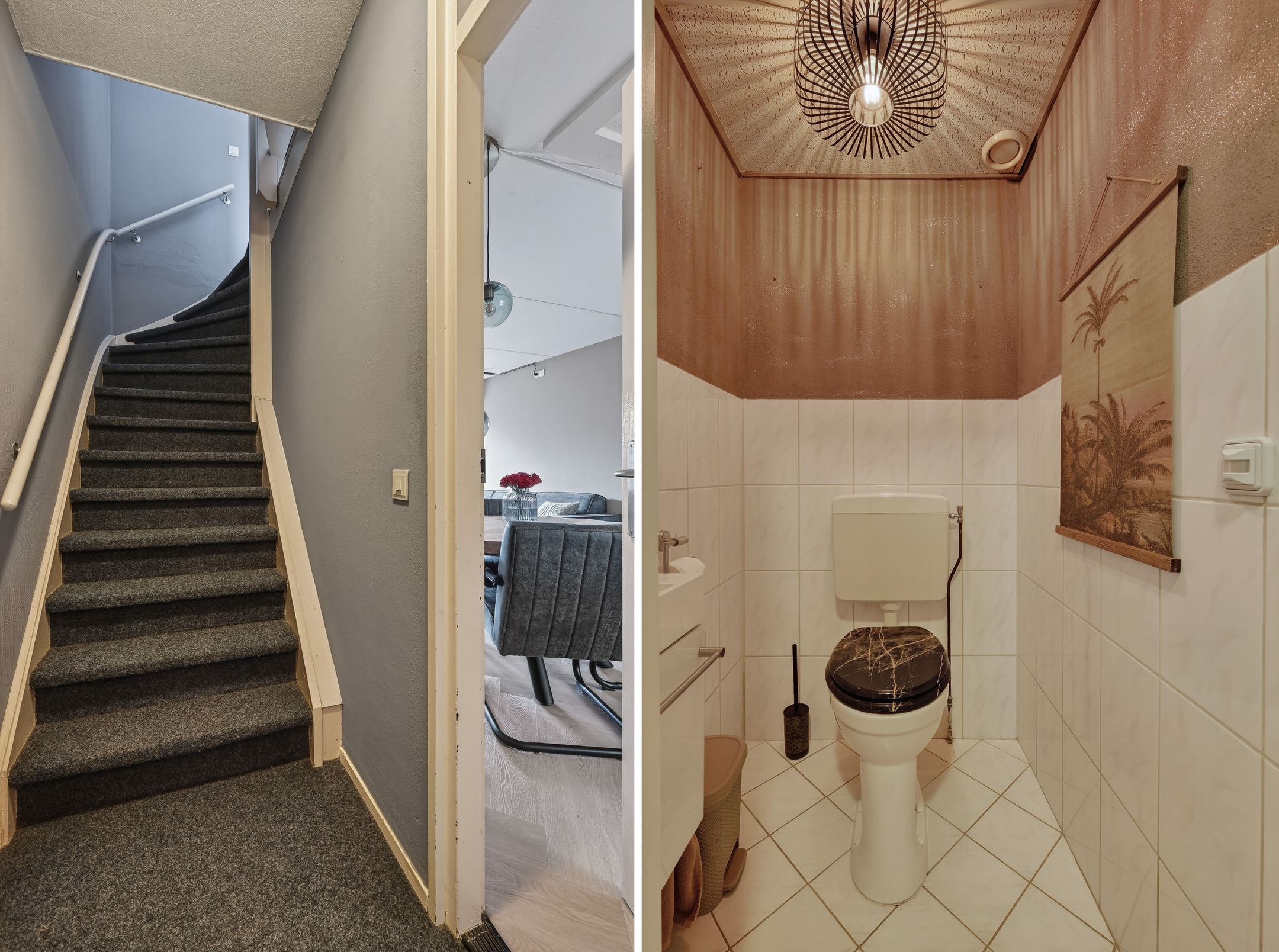 Photo 18 of Anker 53