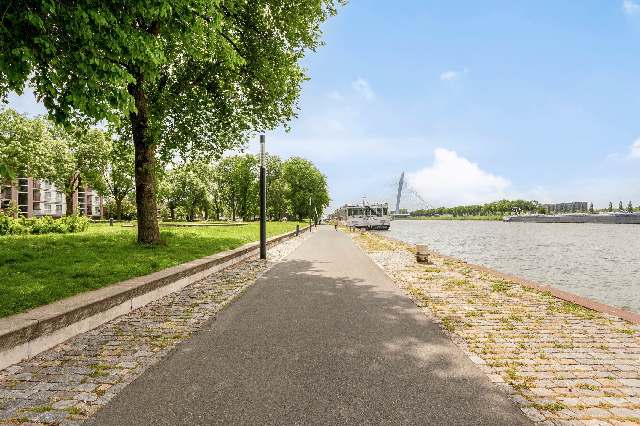 Foto 27 van Eisenhowerlaan 86