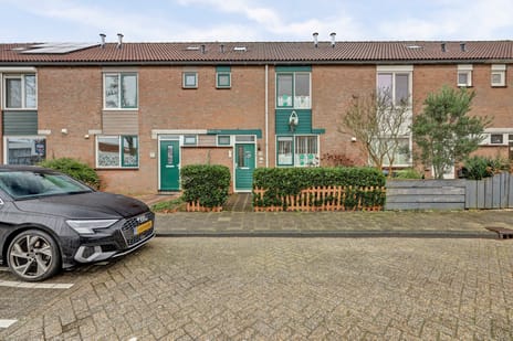 undefined main image