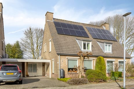 undefined main image