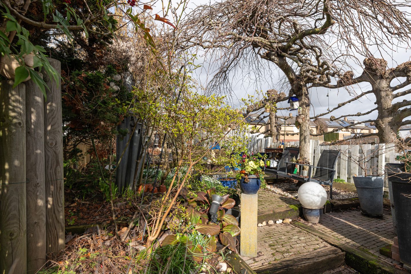 Foto 5 van Volderstraat 21