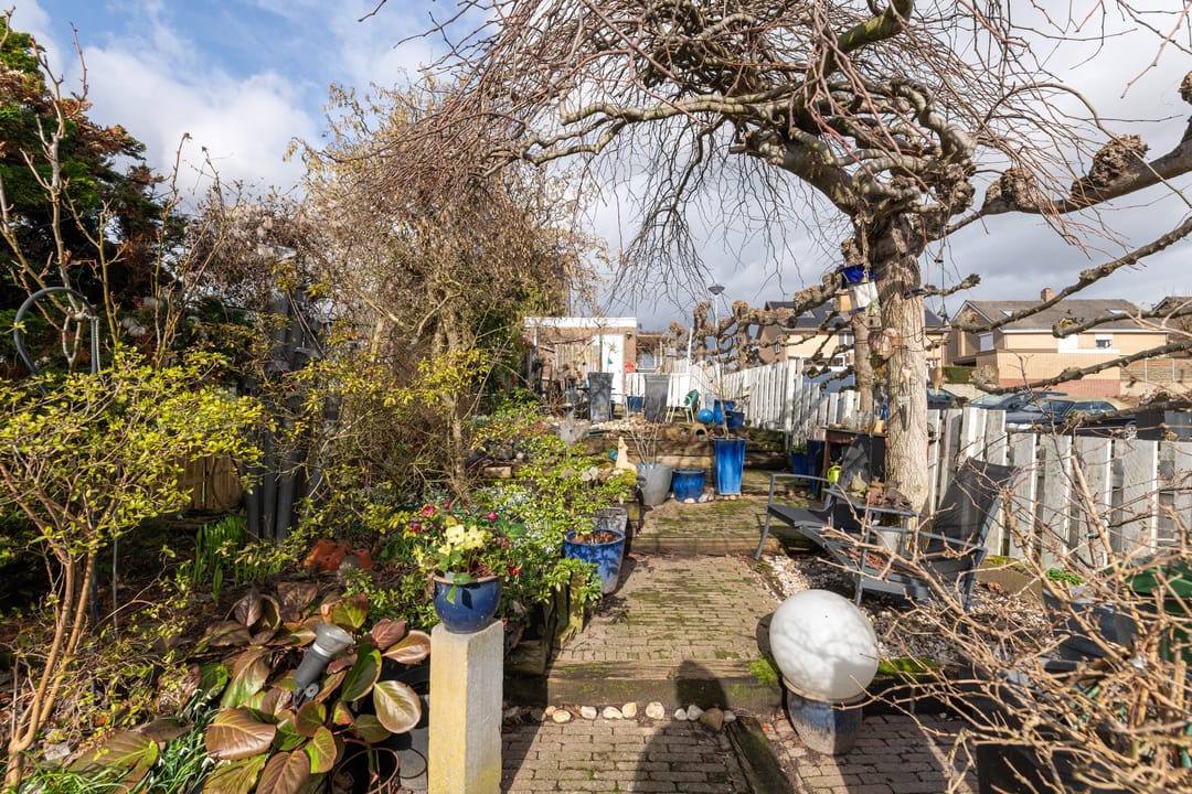 Foto 26 van Volderstraat 21