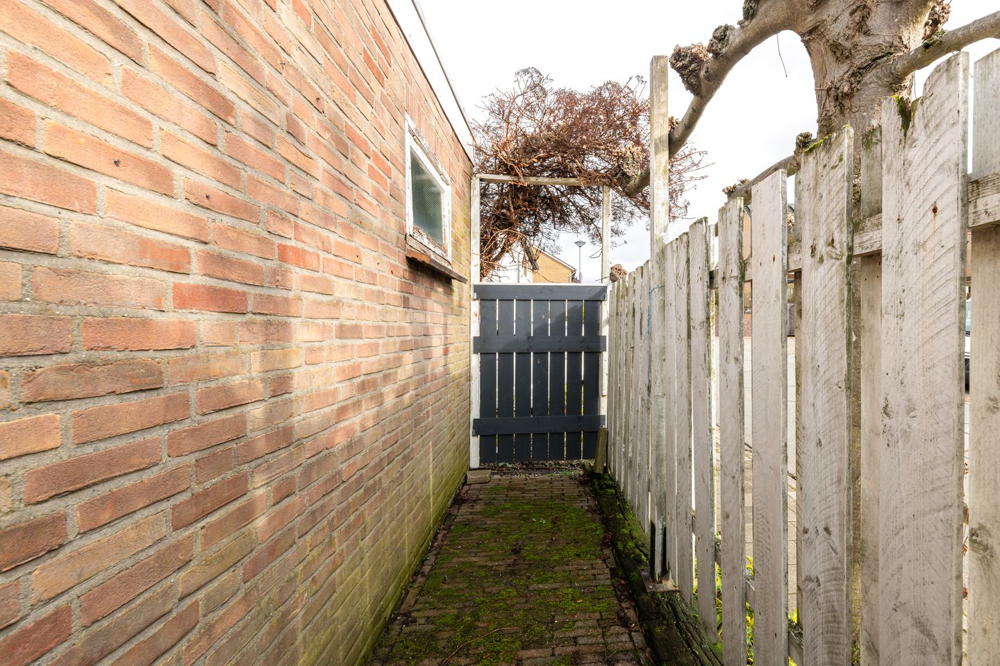 Foto 49 van Volderstraat 21