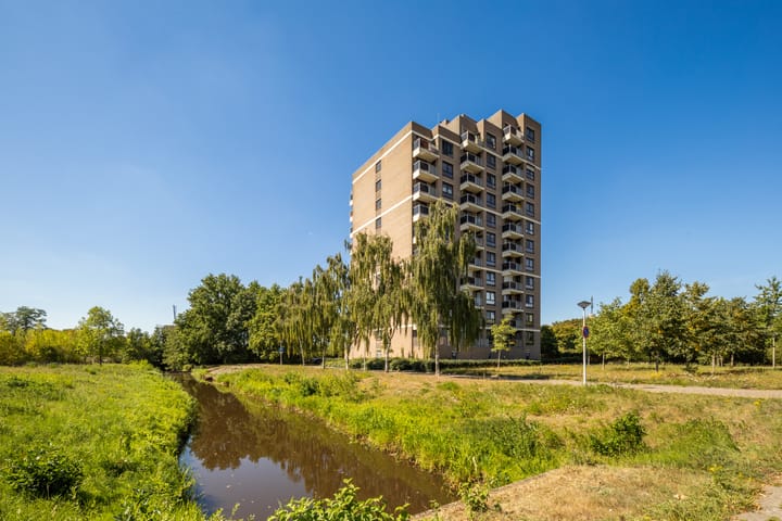Lodewijkdonk 60