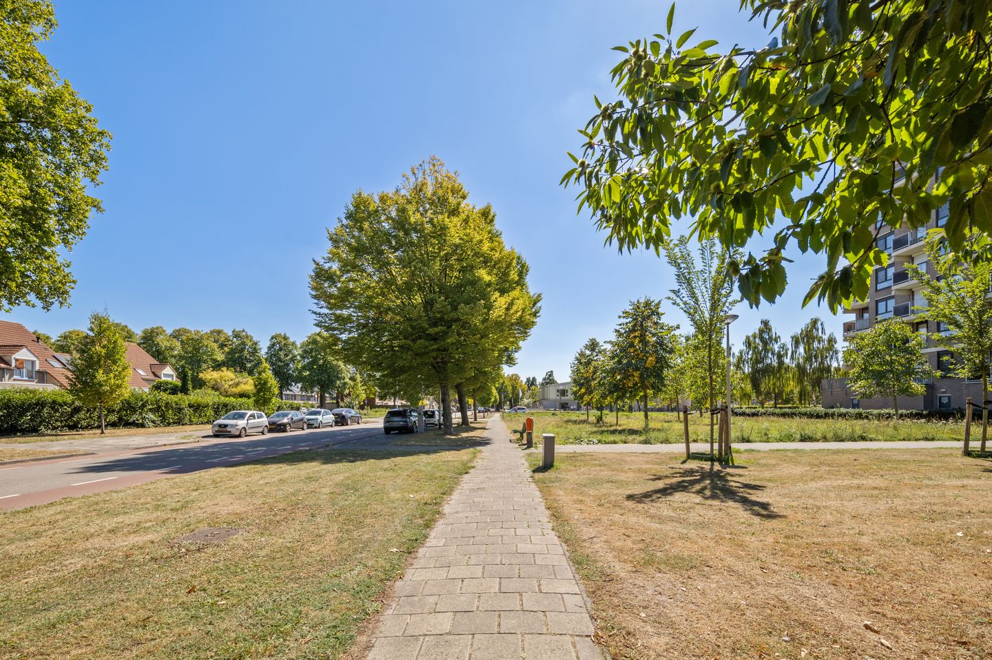 Foto 49 van Lodewijkdonk 60