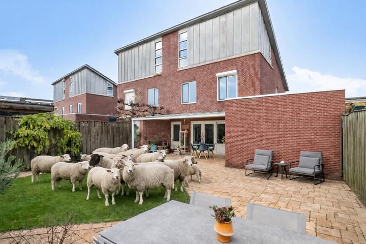 Visven 426 main image