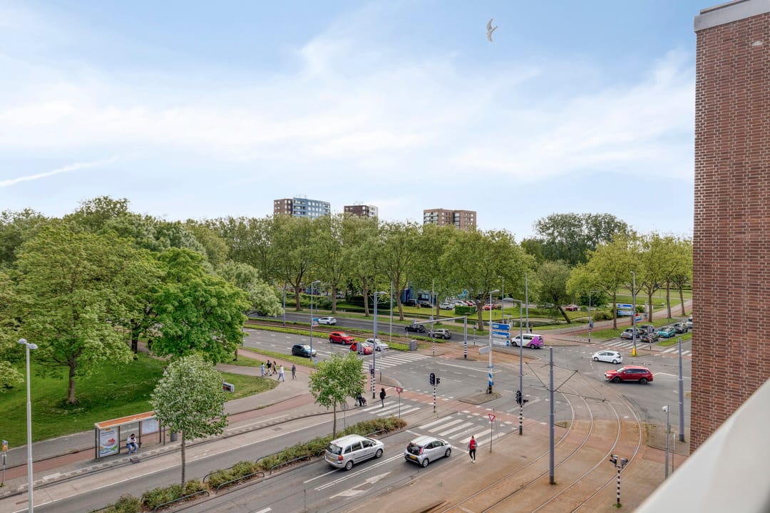 Foto 13 van Molenvliet 117