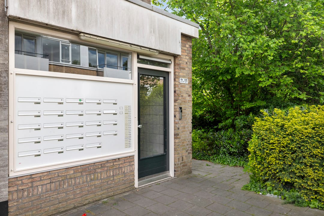 Foto 31 van Molenvliet 117